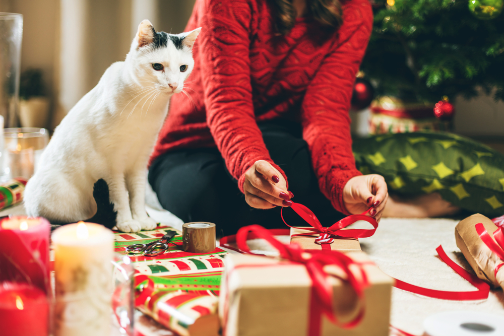 A person wearing a red sweater is tying a ribbon on a gift box while sitting on the floor near a Christmas tree. A white cat with black spots is sitting nearby, observing the activity. Wrapped presents, candles, and festive decorations surround them.