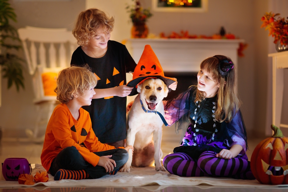 Three children dressed in Halloween costumes, two boys and one girl, sit on the floor in a festive room adorned with jack-o'-lanterns. They are smiling at a dog wearing an orange witch hat. The girl is wearing a witch costume, and the boys are in pumpkin-themed outfits.