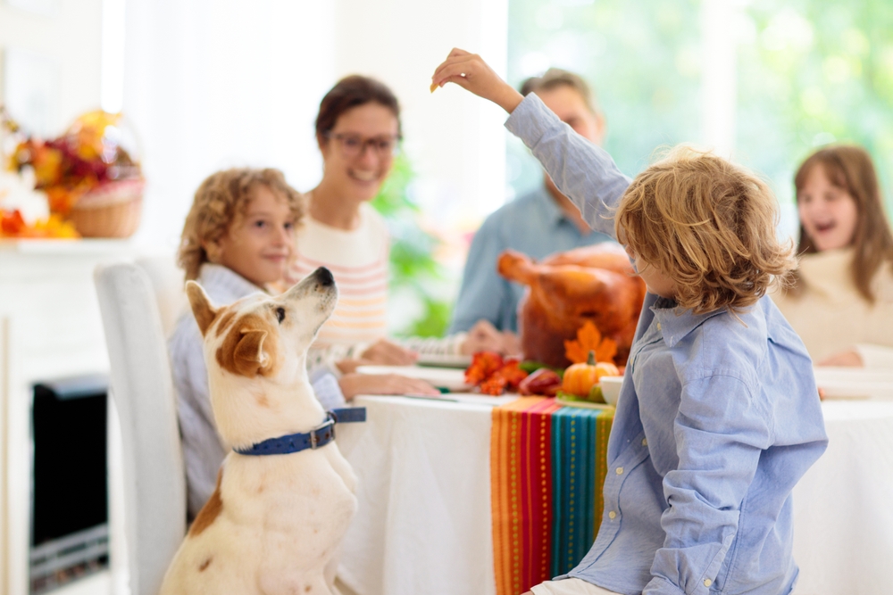 A family is gathered around a dining table for a meal. A child in the foreground is holding up food for a dog, which is sitting and eagerly looking at it. There is a cooked turkey on the table and colorful Autumn decorations. Everyone looks happy and engaged.