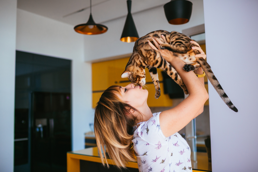 A woman in a white shirt holds a Bengal cat above her, touching noses with it. She's in a modern kitchen with yellow and black cabinets and stylish pendant lights in the background.