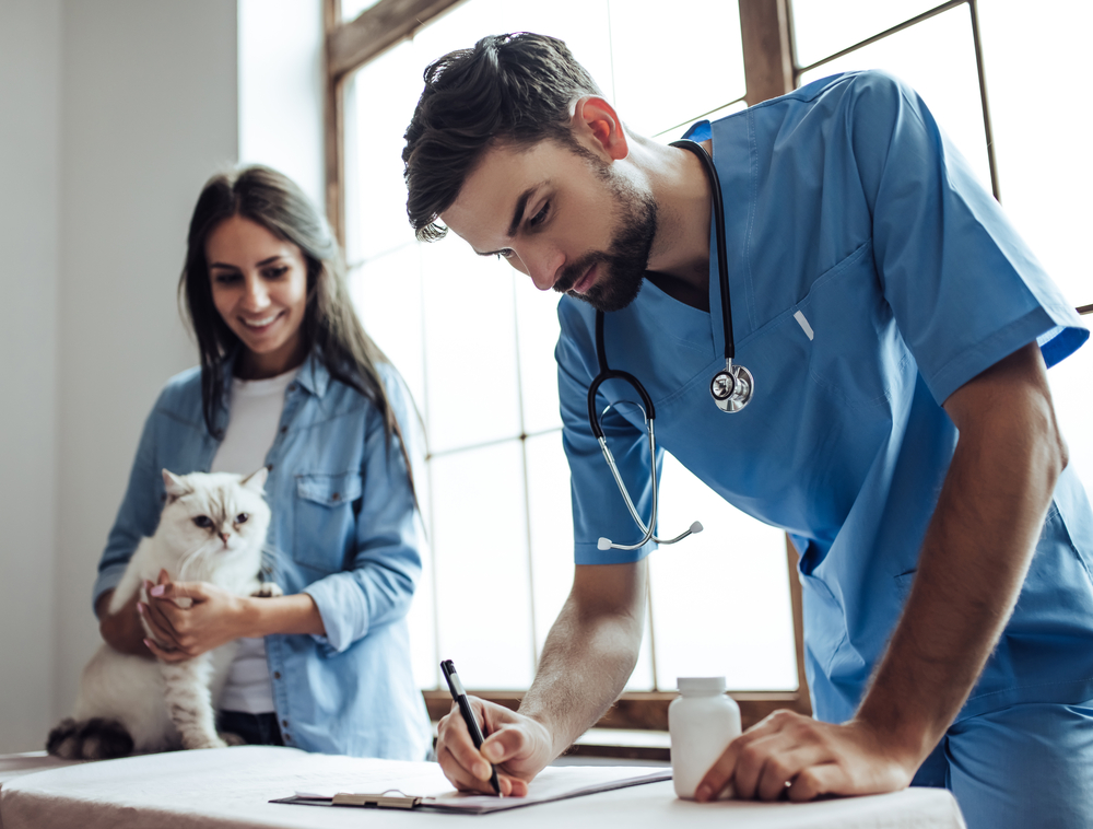 A male veterinarian in blue scrubs writes notes on a clipboard in a bright room with large windows. A woman beside him, smiling, holds a white cat in her arms. A white bottle sits on the table near them.