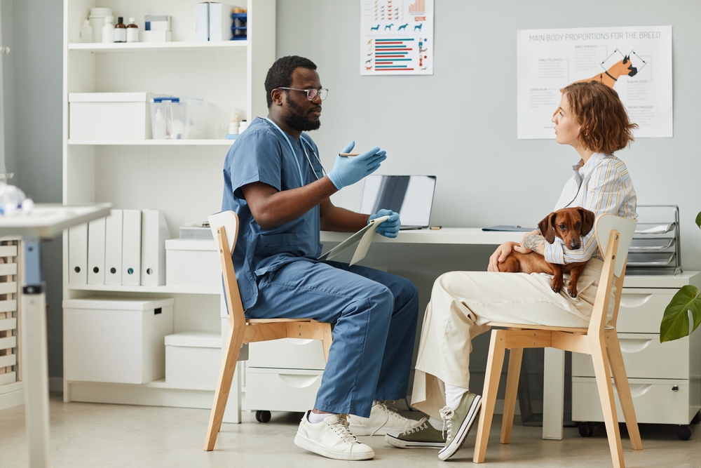 A veterinarian in blue scrubs sits at a desk talking to a woman holding a small brown dog on her lap. The room is bright and organized, with medical posters and equipment in the background.