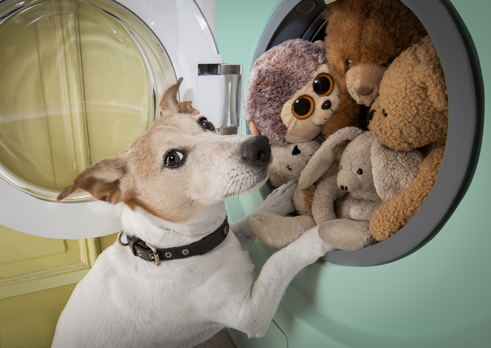 A dog stands in front of an open washing machine filled with various stuffed animals, including bears and a sloth. The dog looks at the camera with its paw resting on the door, surrounded by the plush toys.